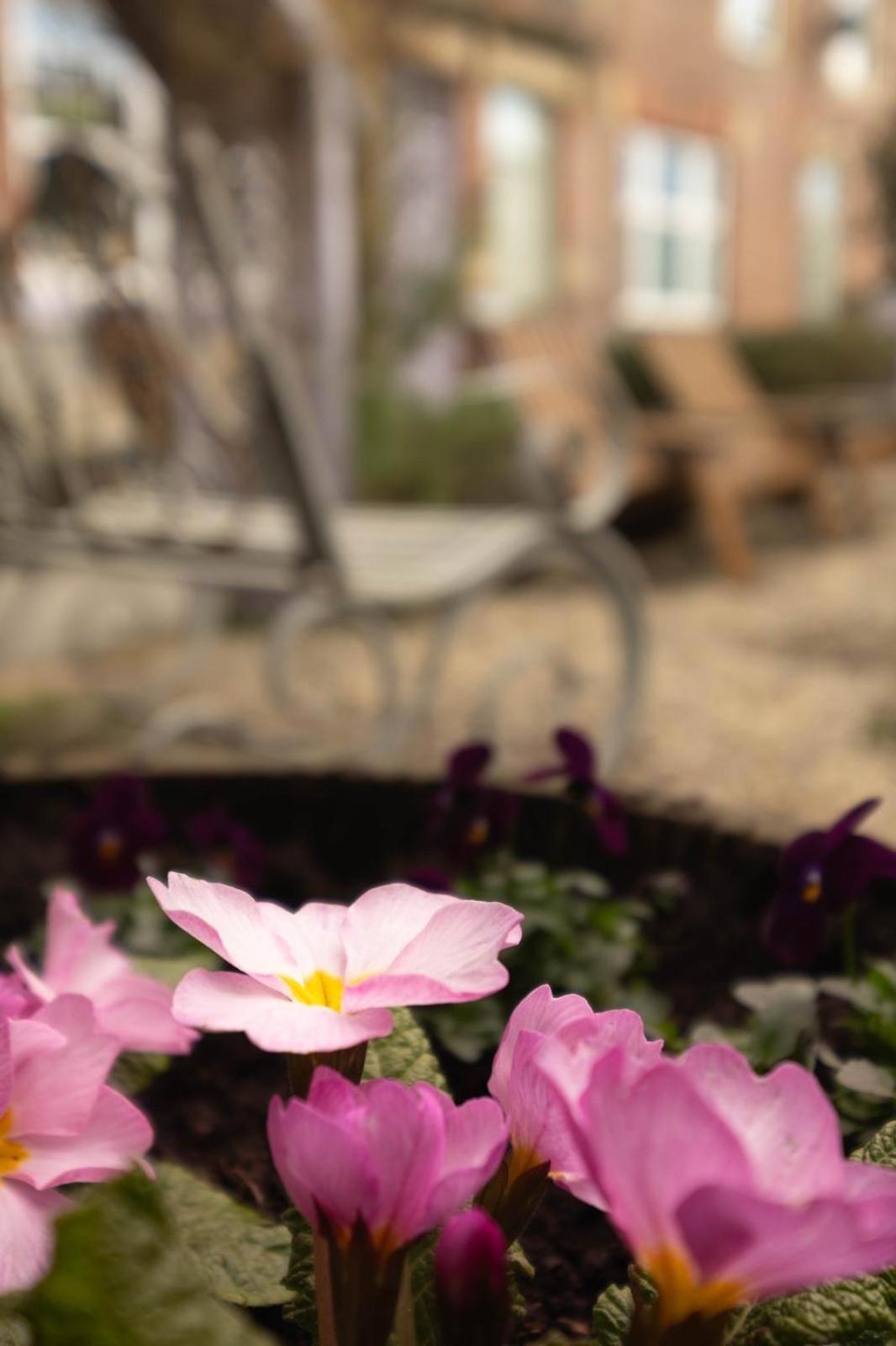 Lilac Cottage Morpeth Northumberland Ngoại thất bức ảnh